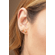 24575 -modelo-